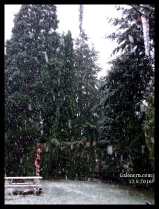 Snow falling