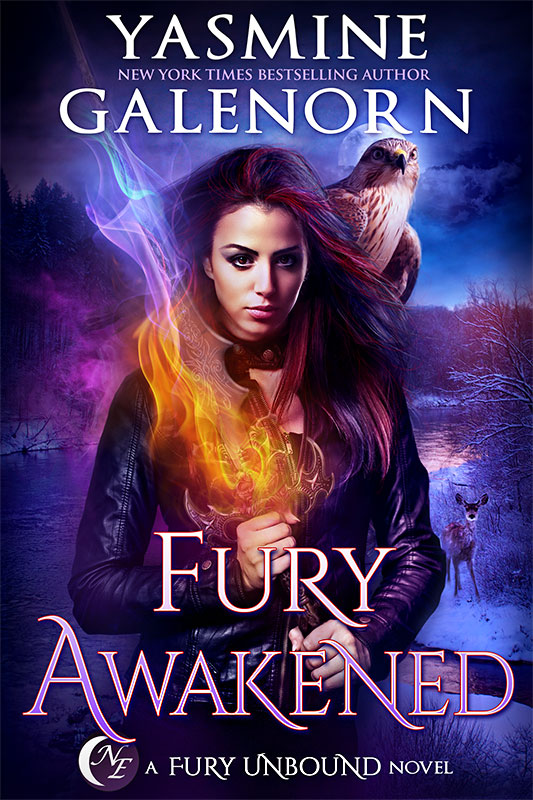 Fury Awakened Cover