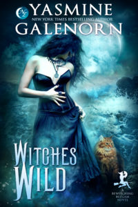 Book Cover: Witches Wild