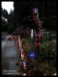 My yard w/lots of sparkly decorations