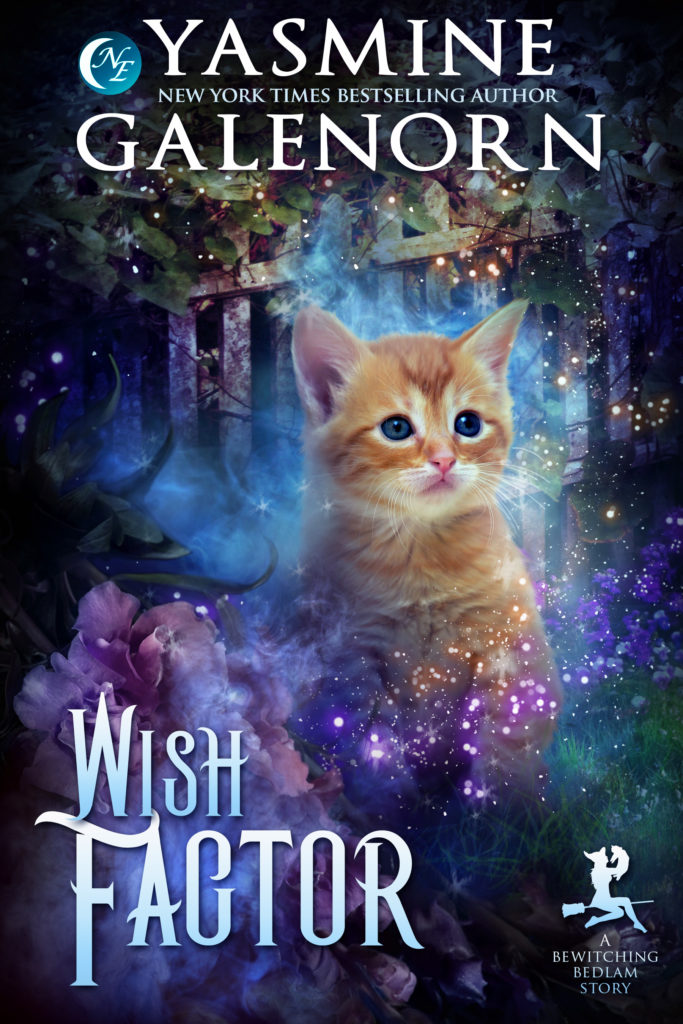 Book Cover: The Wish Factor