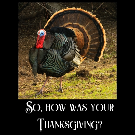 Turkey, asking how was your thanksgiving?