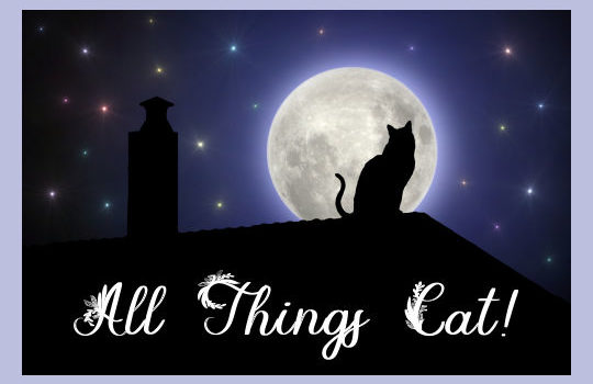 All Things Cat
