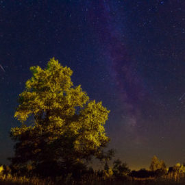 To Watch a Falling Star