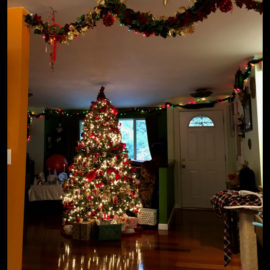 A Merry Yuletide to All