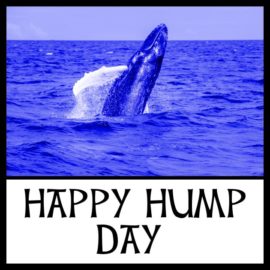 Hump Day Thoughts & A Note on The Phantom Queen