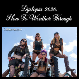 Dystopia 2020 and How To Weather It