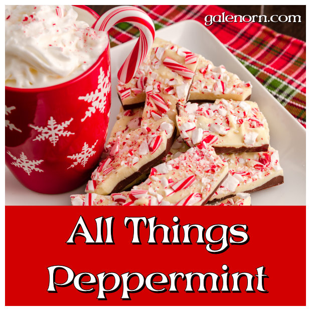 Christmas display of traditional chocolate peppermint bark candy and cup of hot chocolate