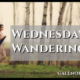 Wednesday Wanderings