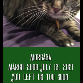Rest Gently, Morgana