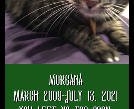 Rest Gently, Morgana