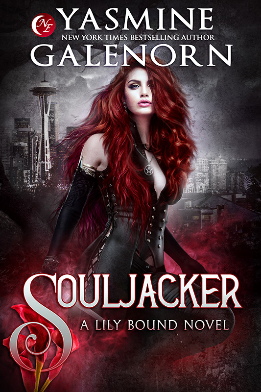 Book Cover: Souljacker