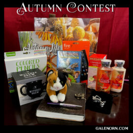 Autumn Contest