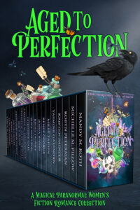 Book Cover: Aged To Perfection Anthology