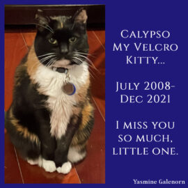 Calypso 2008–2021