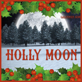 The Holly Moon