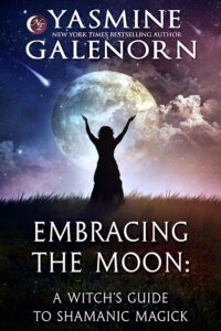 Book Cover: Embracing the Moon