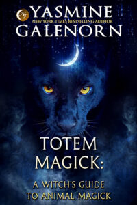 Book Cover: Totem Magick