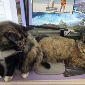 Floofers